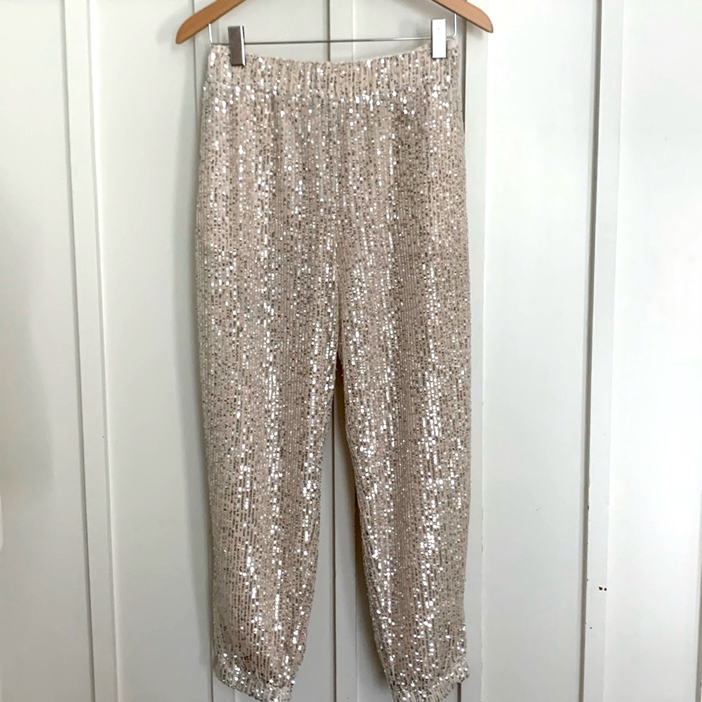Blush Beige Sequined Jogger pants